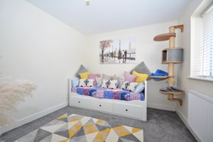 Photo 3- click for photo gallery